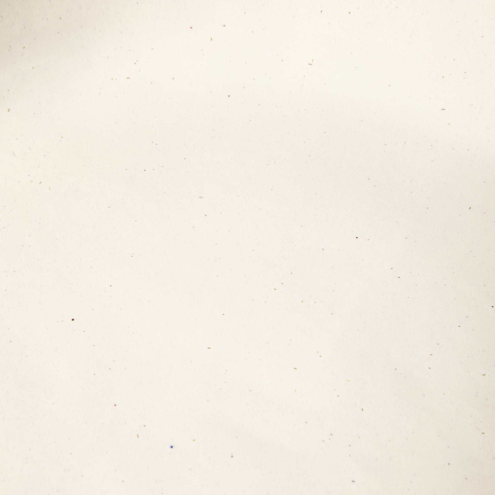 _lifestyle___lifestyle_l_lifestyle_i_lifestyle_f_lifestyle_e_lifestyle_s_lifestyle_t_lifestyle_y_lifestyle_l_lifestyle_e_lifestyle___lifestyle_