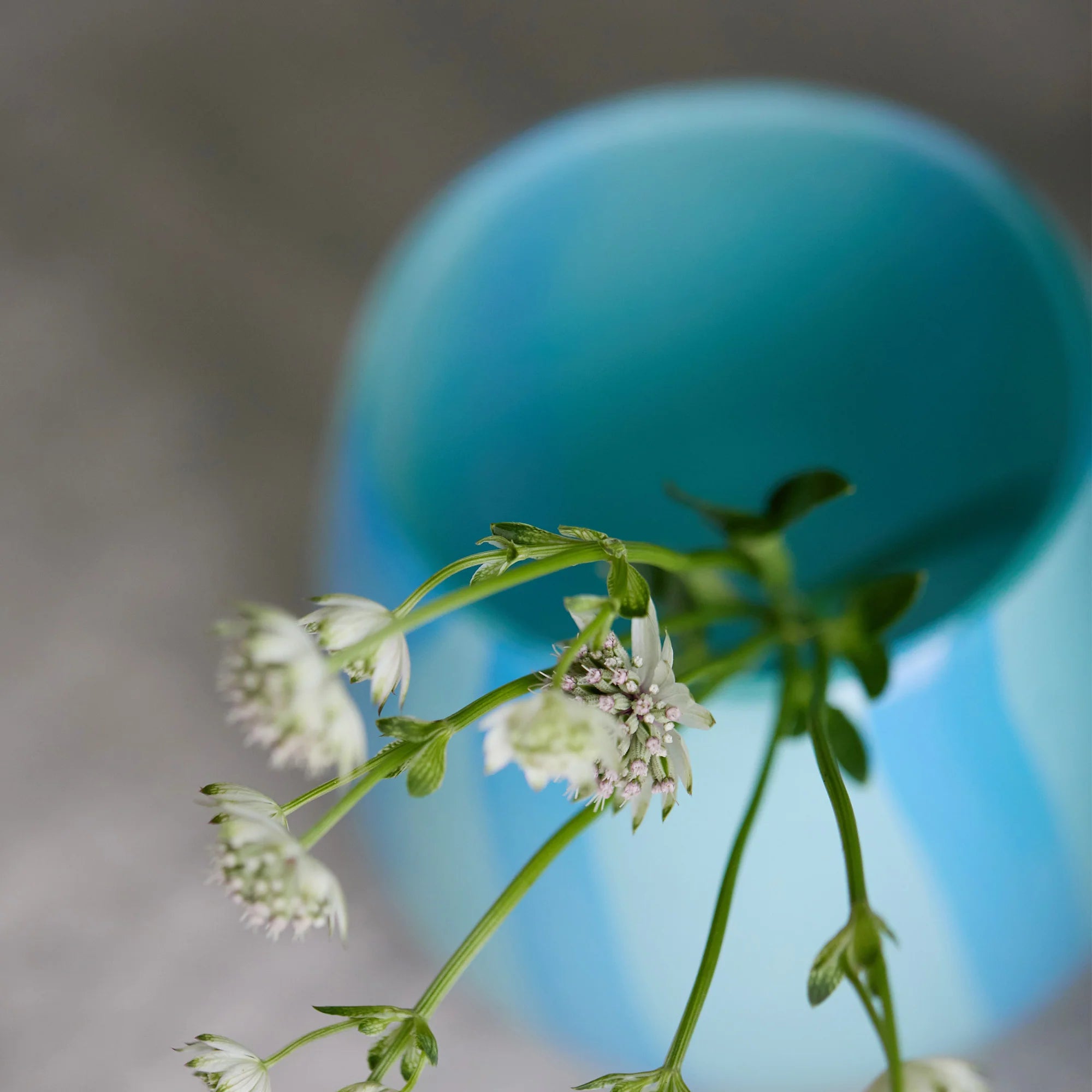 _lifestyle_T_lifestyle_C_lifestyle_S_lifestyle_3_lifestyle_2_lifestyle_3_lifestyle_5_lifestyle_8_lifestyle_3_lifestyle___lifestyle_6_lifestyle___lifestyle___lifestyle_f_lifestyle_u_lifestyle_l_lifestyle_l_lifestyle___lifestyle_b_lifestyle_l_lifestyle_e_lifestyle_e_lifestyle_d_lifestyle___lifestyle_2_lifestyle_0_lifestyle_0_lifestyle_0_lifestyle_x_lifestyle___lifestyle_2_lifestyle_1_lifestyle_8_lifestyle_d_lifestyle_2_lifestyle_4_lifestyle_c_lifestyle_7_lifestyle_-_lifestyle_9_lifestyle_1_lifestyle_a_lifestyle_9_lifestyle_-_lifestyle_4_lifestyle_c_lifestyle_4_lifestyle_2_lifestyle_-_lifestyle_8_lifestyle_a_lifestyle_0_lifestyle_3_lifestyle_-_lifestyle_8_lifestyle_b_lifestyle_0_lifestyle_7_lifestyle_f_lifestyle_d_lifestyle_1_lifestyle_d_lifestyle_d_lifestyle_8_lifestyle_0_lifestyle_d_lifestyle___lifestyle_l_lifestyle_i_lifestyle_f_lifestyle_e_lifestyle_s_lifestyle_t_lifestyle_y_lifestyle_l_lifestyle_e_lifestyle___lifestyle_