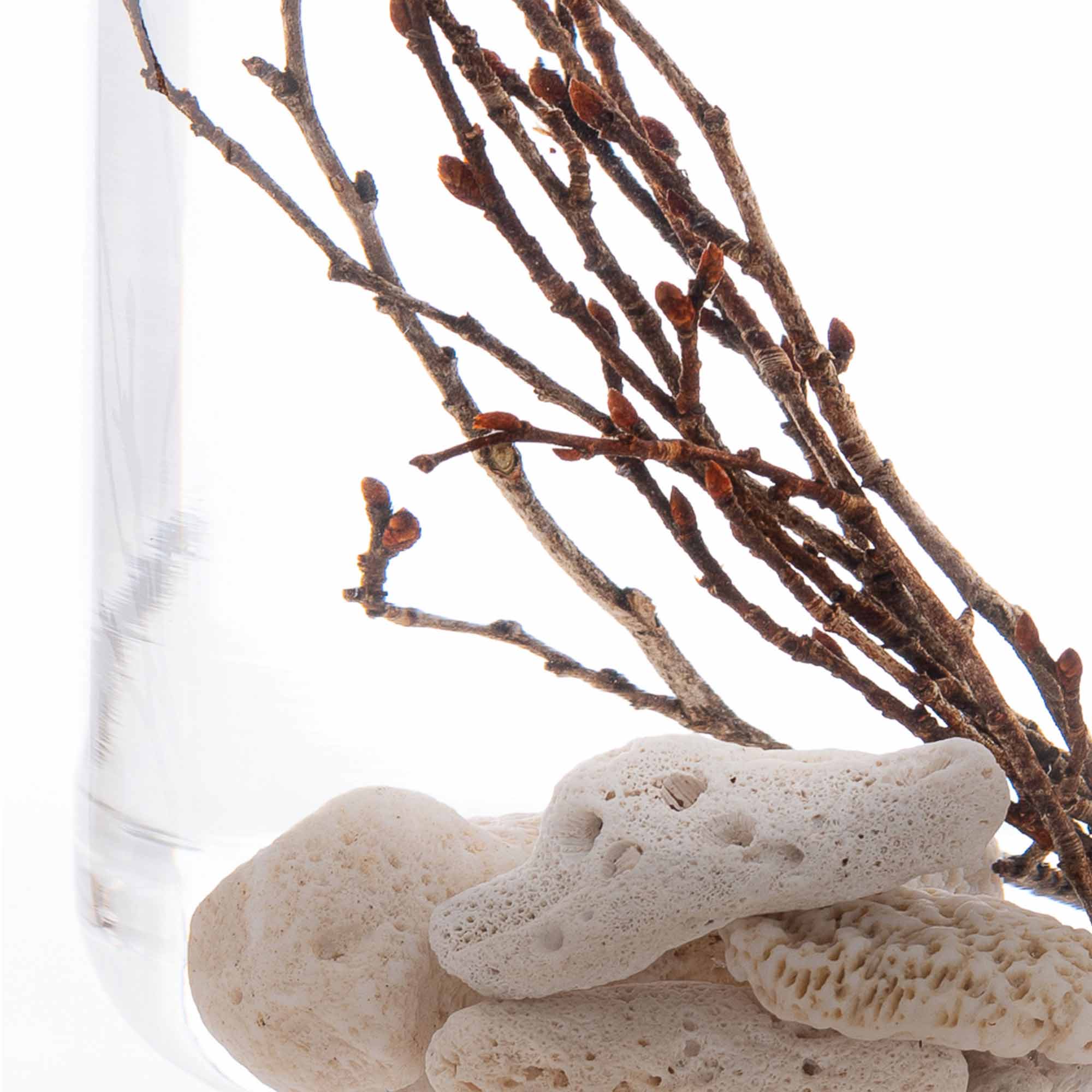 _lifestyle_L_lifestyle_a_lifestyle_r_lifestyle_g_lifestyle_e_lifestyle_%_lifestyle_2_lifestyle_0_lifestyle_P_lifestyle_i_lifestyle_e_lifestyle_c_lifestyle_e_lifestyle_s_lifestyle_%_lifestyle_2_lifestyle_0_lifestyle_o_lifestyle_f_lifestyle_%_lifestyle_2_lifestyle_0_lifestyle_T_lifestyle_i_lifestyle_m_lifestyle_e_lifestyle_%_lifestyle_2_lifestyle_0_lifestyle_-_lifestyle_%_lifestyle_2_lifestyle_0_lifestyle_C_lifestyle_o_lifestyle_r_lifestyle_a_lifestyle_l_lifestyle_%_lifestyle_2_lifestyle_0_lifestyle_%_lifestyle_2_lifestyle_0_lifestyle_Z_lifestyle_e_lifestyle_l_lifestyle_k_lifestyle_o_lifestyle_v_lifestyle_a_lifestyle_ _lifestyle_i_lifestyle_m_lifestyle_a_lifestyle_g_lifestyle_e_lifestyle_ _lifestyle_7_lifestyle_ _lifestyle___lifestyle_l_lifestyle_i_lifestyle_f_lifestyle_e_lifestyle_s_lifestyle_t_lifestyle_y_lifestyle_l_lifestyle_e_lifestyle___lifestyle_