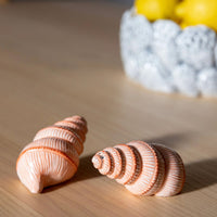 Salt & Pepper Shell Set