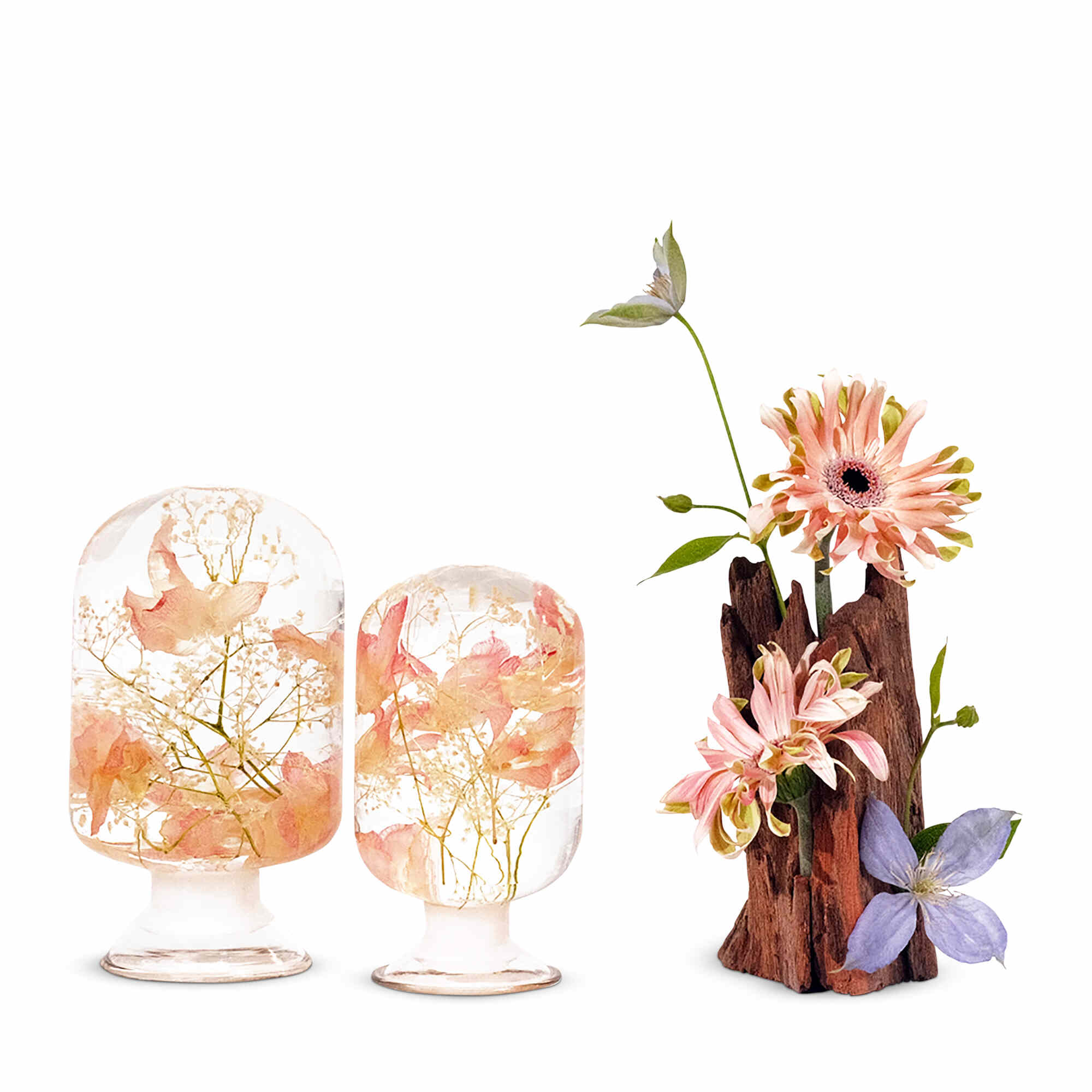 Large Pieces of Time - Cooktown Orchid image 6