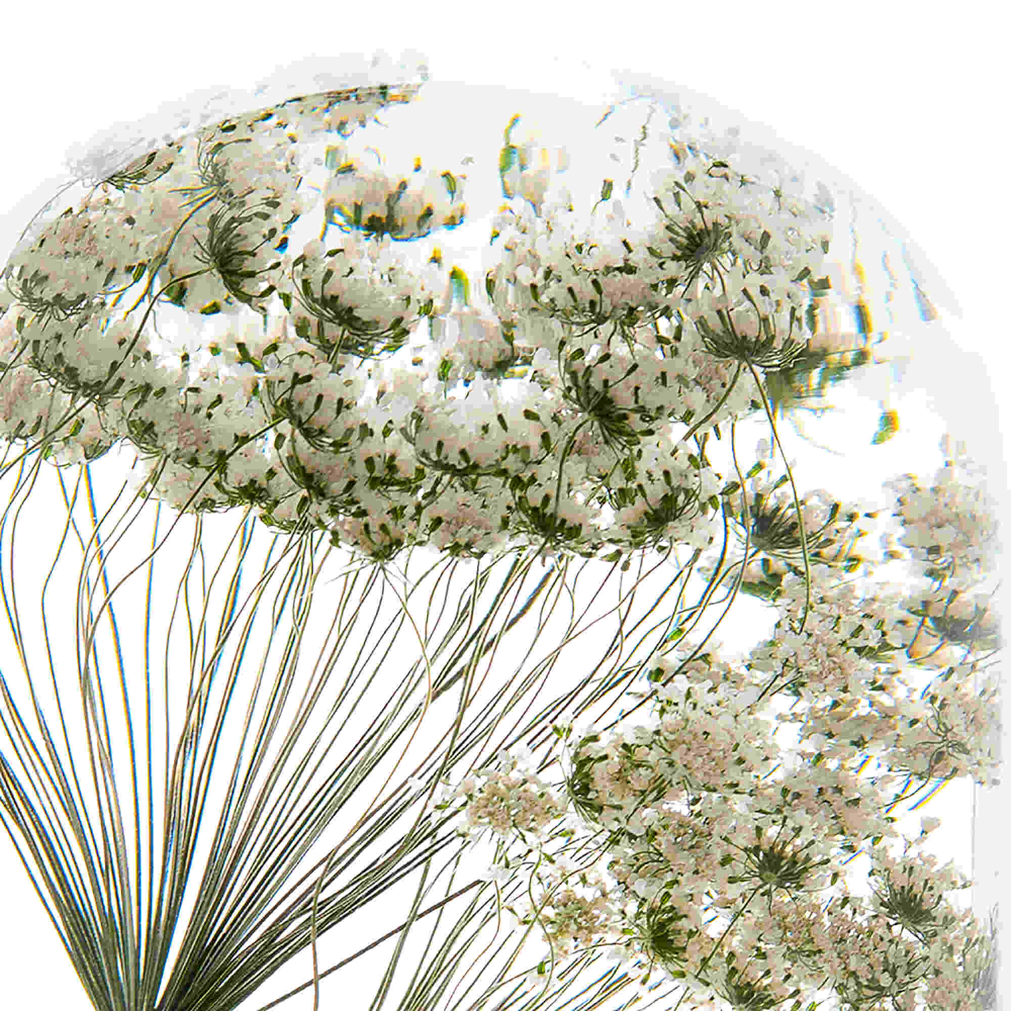 _lifestyle_M_lifestyle_e_lifestyle_d_lifestyle_i_lifestyle_u_lifestyle_m_lifestyle_ _lifestyle_P_lifestyle_i_lifestyle_e_lifestyle_c_lifestyle_e_lifestyle_s_lifestyle_ _lifestyle_o_lifestyle_f_lifestyle_ _lifestyle_T_lifestyle_i_lifestyle_m_lifestyle_e_lifestyle_ _lifestyle_-_lifestyle_ _lifestyle_A_lifestyle_m_lifestyle_m_lifestyle_i_lifestyle_ _lifestyle_i_lifestyle_m_lifestyle_a_lifestyle_g_lifestyle_e_lifestyle_ _lifestyle_3_lifestyle_ _lifestyle___lifestyle_l_lifestyle_i_lifestyle_f_lifestyle_e_lifestyle_s_lifestyle_t_lifestyle_y_lifestyle_l_lifestyle_e_lifestyle___lifestyle_