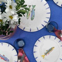 صحن جانبي جان فيشنج دانيو