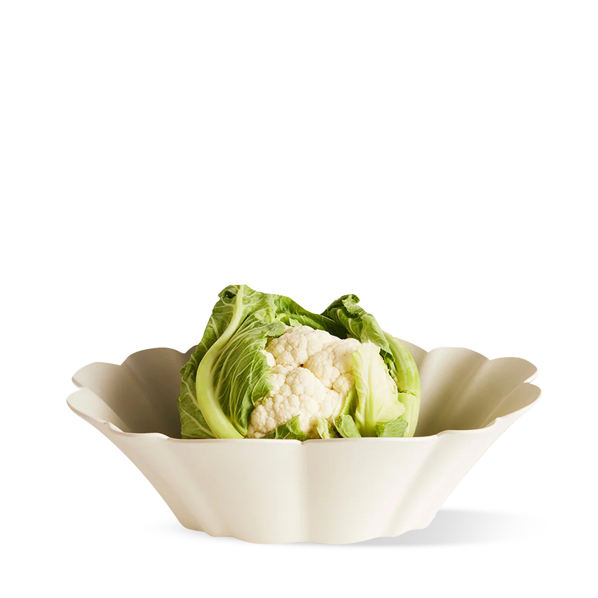 _lifestyle___lifestyle_l_lifestyle_i_lifestyle_f_lifestyle_e_lifestyle_s_lifestyle_t_lifestyle_y_lifestyle_l_lifestyle_e_lifestyle___lifestyle_