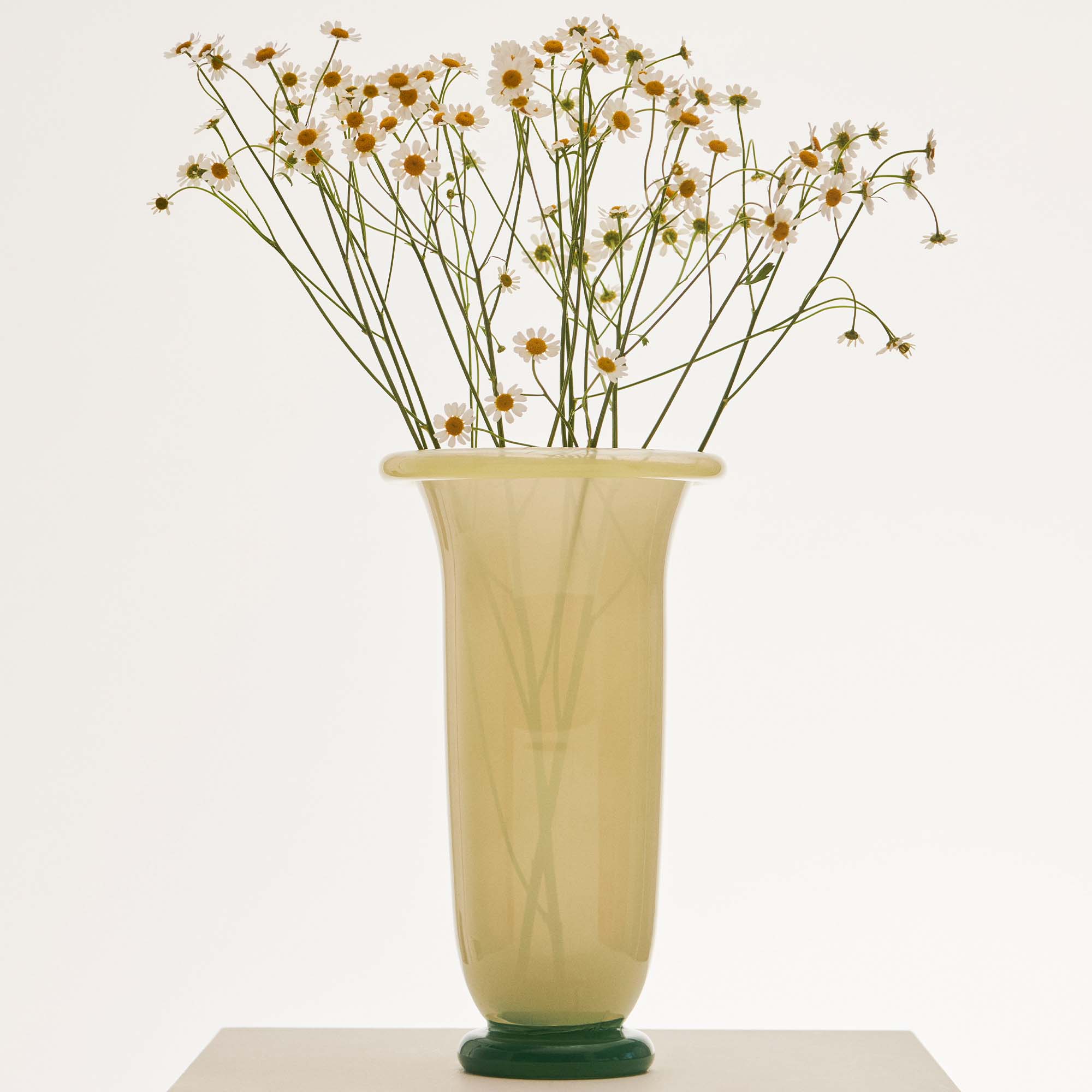 _lifestyle_T_lifestyle_C_lifestyle_S_lifestyle_3_lifestyle_6_lifestyle_4_lifestyle_7_lifestyle_7_lifestyle_3_lifestyle___lifestyle_l_lifestyle_i_lifestyle_f_lifestyle_e_lifestyle_s_lifestyle_t_lifestyle_y_lifestyle_l_lifestyle_e_lifestyle___lifestyle_