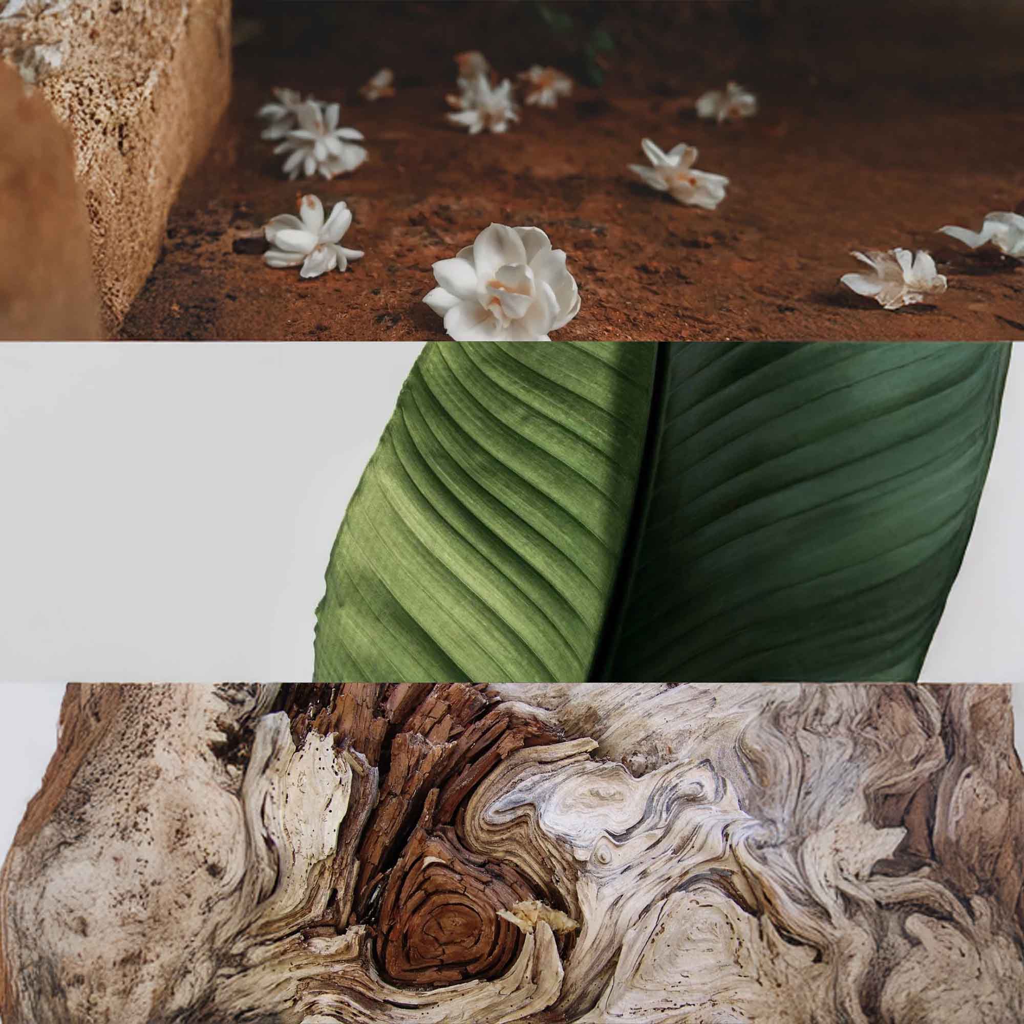 _lifestyle___lifestyle_l_lifestyle_i_lifestyle_f_lifestyle_e_lifestyle_s_lifestyle_t_lifestyle_y_lifestyle_l_lifestyle_e_lifestyle___lifestyle_