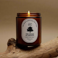 شمعة ذا سيدارز أوف ليبانون - 230 جم