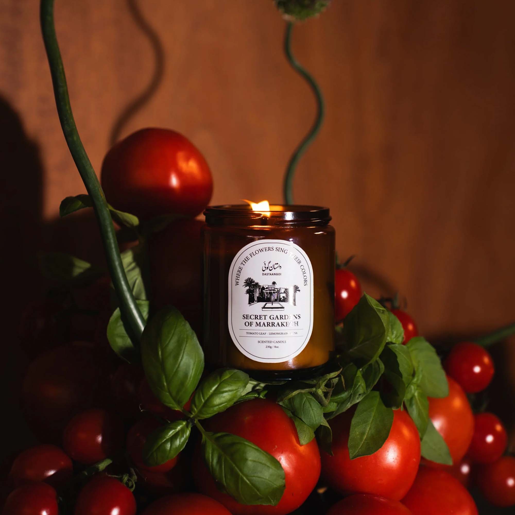 _lifestyle___lifestyle_l_lifestyle_i_lifestyle_f_lifestyle_e_lifestyle_s_lifestyle_t_lifestyle_y_lifestyle_l_lifestyle_e_lifestyle___lifestyle_