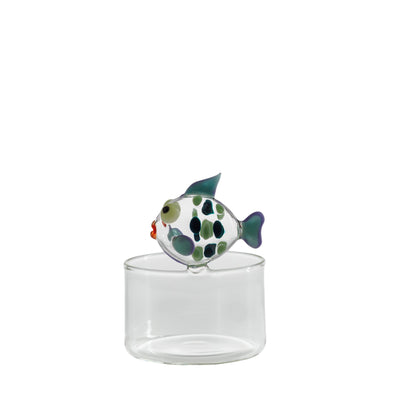 Dotfish Brio