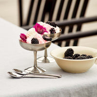 Italian Ice Cup - Stainless Steel