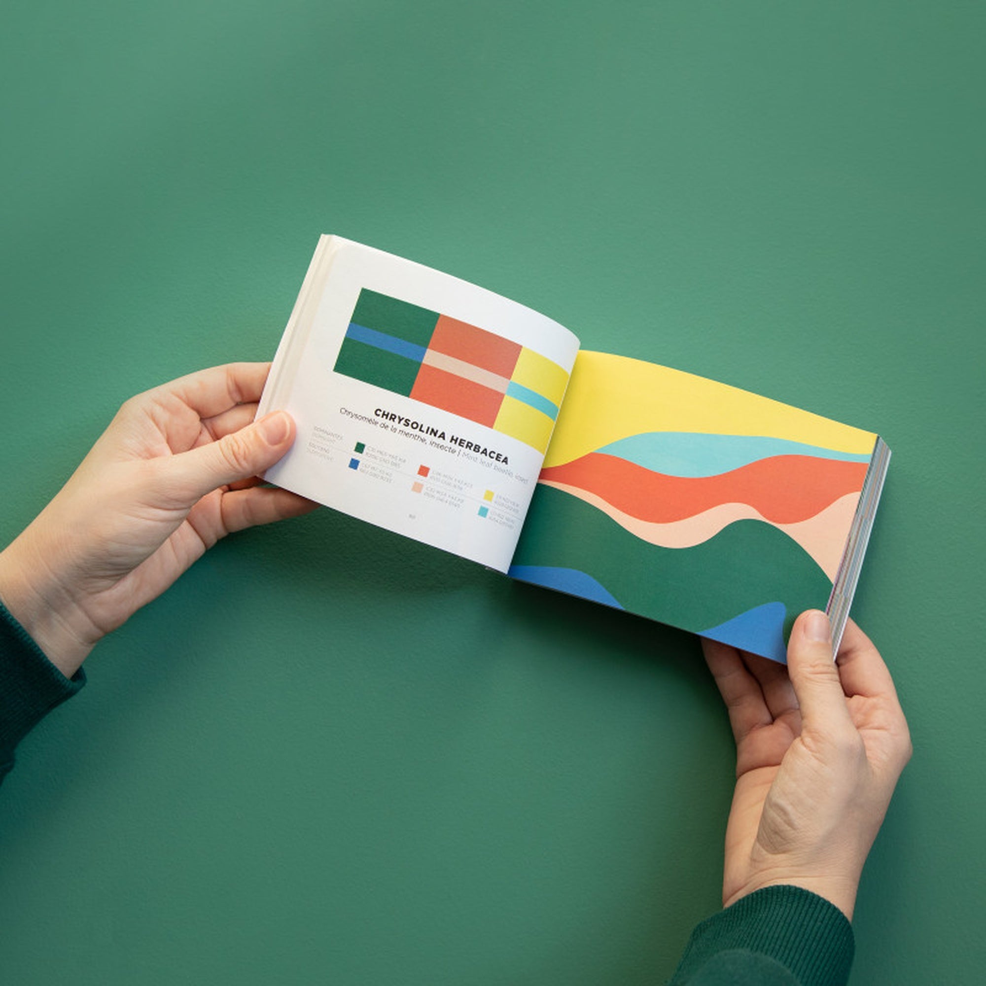 كتاب إلهام الألوان - المجلد الثاني